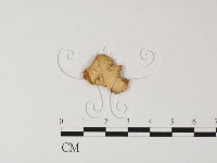 登錄號:F0005278藏品圖，第3張