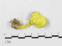 登錄號:F0005279藏品圖，第1張