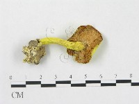 登錄號:F0005279藏品圖，第3張