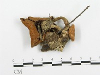 登錄號:F0005280藏品圖，第1張