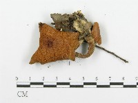 登錄號:F0005280藏品圖，第3張