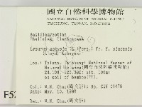 登錄號:F0005283藏品圖，第2張