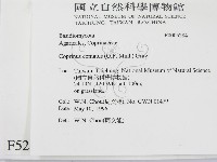 登錄號:F0005284藏品圖，第2張