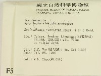 登錄號:F0005286藏品圖，第2張