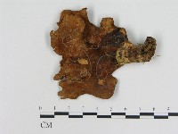 登錄號:F0005286藏品圖，第3張