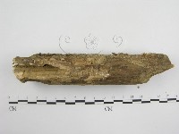 登錄號:F0005288藏品圖，第4張