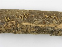 登錄號:F0005288藏品圖，第7張