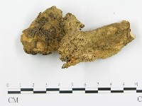 登錄號:F0005290藏品圖，第3張