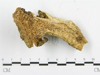 登錄號:F0005290藏品圖，第4張