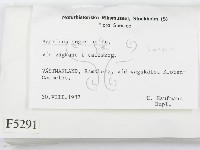 登錄號:F0005291藏品圖，第2張