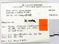 登錄號:F0005292藏品圖，第2張