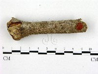 登錄號:F0005292藏品圖，第1張