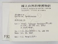 登錄號:F0005294藏品圖，第2張