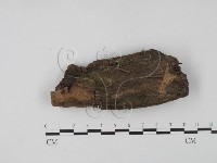 登錄號:F0005294藏品圖，第1張