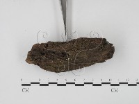 登錄號:F0005294藏品圖，第3張