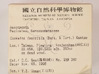 登錄號:F0005296藏品圖，第2張