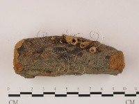 登錄號:F0005296藏品圖，第3張