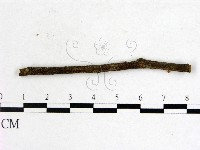 登錄號:F0005297藏品圖，第1張