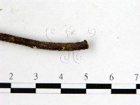 登錄號:F0005297藏品圖，第3張