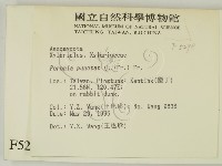 登錄號:F0005298藏品圖，第2張