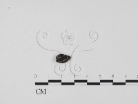 登錄號:F0005299藏品圖，第1張