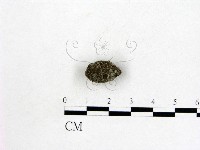 登錄號:F0005300藏品圖，第3張