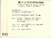 登錄號:F0005301藏品圖，第2張