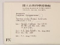 登錄號:F0005302藏品圖，第2張