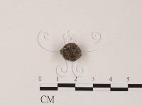 登錄號:F0005302藏品圖，第3張