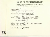 登錄號:F0005303藏品圖，第2張