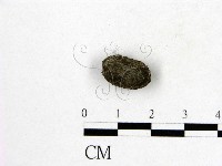 登錄號:F0005303藏品圖，第1張