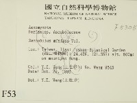 登錄號:F0005305藏品圖，第2張