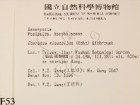 登錄號:F0005306藏品圖，第2張