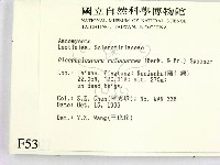 登錄號:F0005307藏品圖，第2張