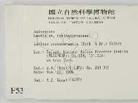 登錄號:F0005308藏品圖，第2張