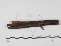 登錄號:F0005308藏品圖，第1張