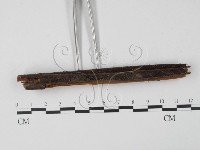 登錄號:F0005308藏品圖，第3張