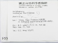 柄銹菌屬藏品圖，第2張