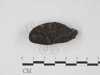 登錄號:F0005311藏品圖，第1張