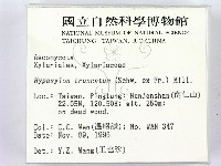 登錄號:F0005312藏品圖，第2張