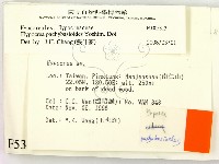 登錄號:F0005313藏品圖，第2張