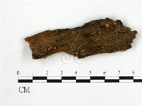 登錄號:F0005313藏品圖，第1張