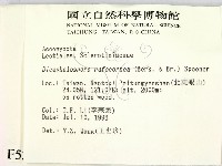 登錄號:F0005315藏品圖，第2張