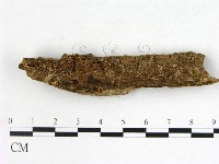 登錄號:F0005315藏品圖，第1張