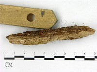 登錄號:F0005315藏品圖，第3張