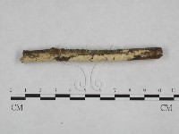 登錄號:F0005316藏品圖，第1張