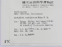 登錄號:F0005318藏品圖，第2張