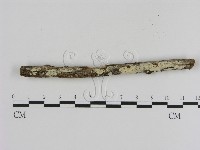 登錄號:F0005318藏品圖，第1張