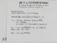 登錄號:F0005319藏品圖，第2張