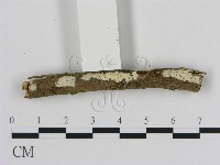 登錄號:F0005319藏品圖，第1張